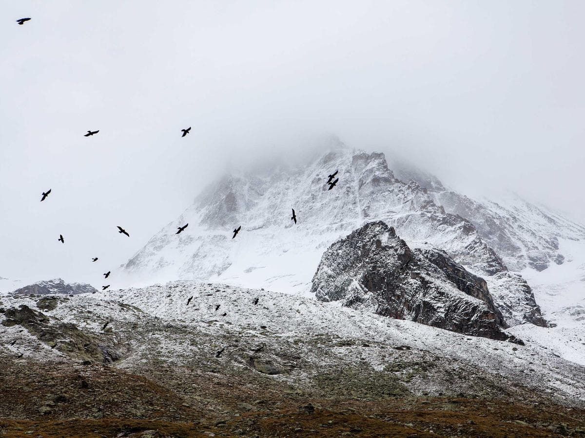 Chunnakam Branch thumbnail